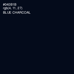 #040B1B - Blue Charcoal Color Image